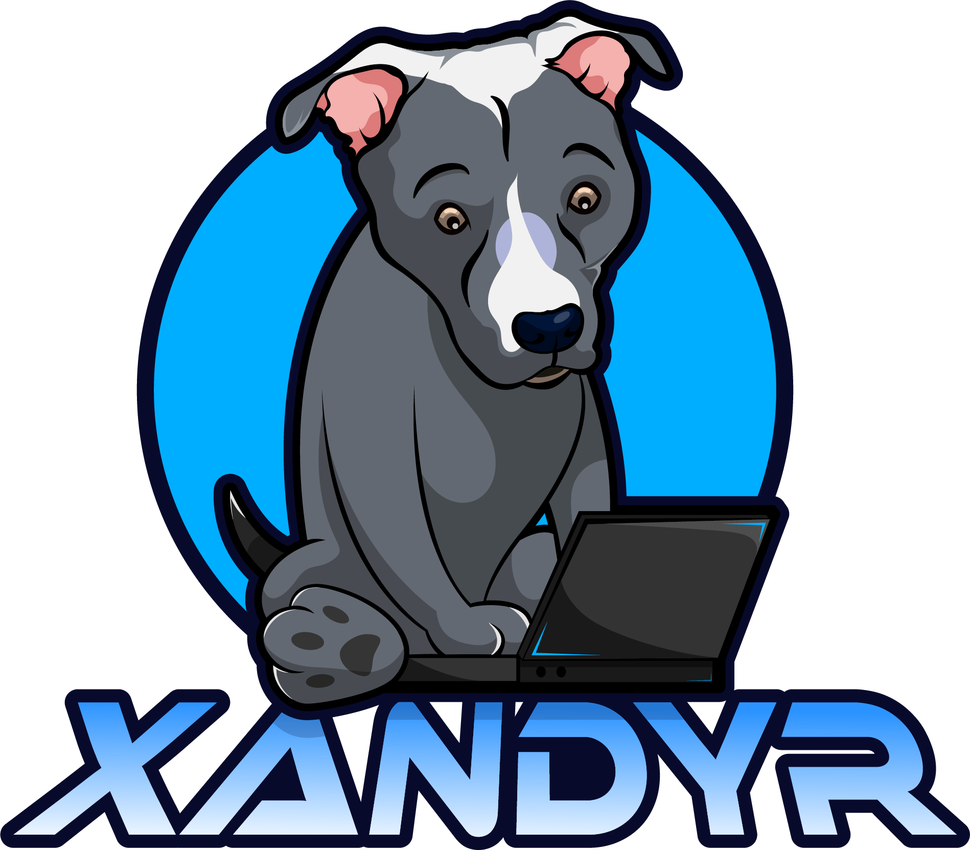 Xandyr